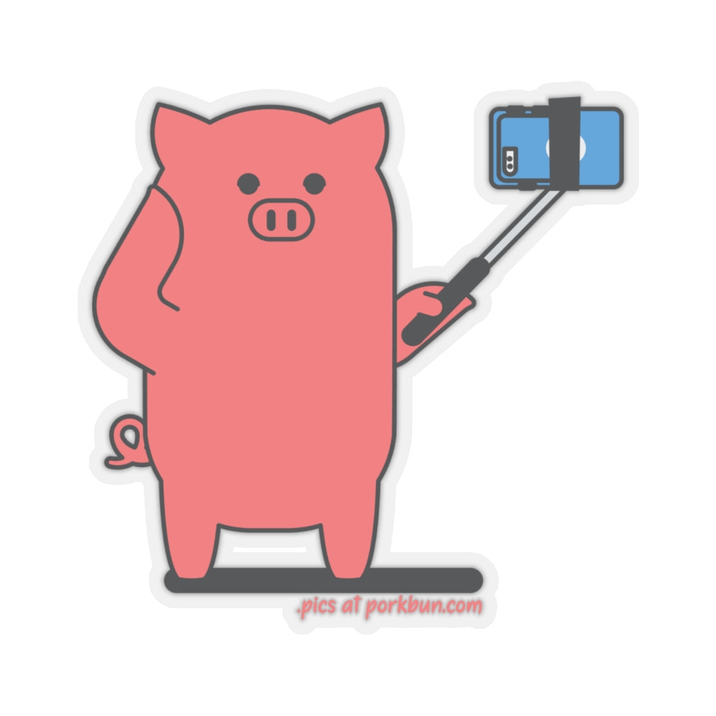 .pics Porkbun mascot sticker